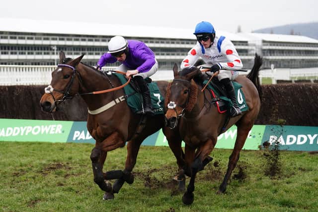 “You could clearly see that I was in breach of the rule, my hand was ever so slightly over and I was told that I would get eight days for each hit. Because it was a class one race that it was why it was eight days rather than four, so I would have come out of the race with a 24-day ban.”