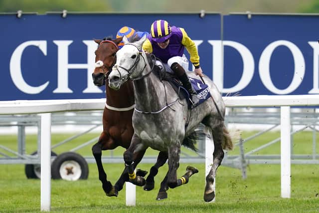 That tentative plan is now set to become a reality, with Punchestown’s Join The Punchestown Members Club Mares Maiden Hurdle over two and a half miles on January 30 a possible starting point as connections bid to discover whether a trip to the Cheltenham Festival is a realistic target.
