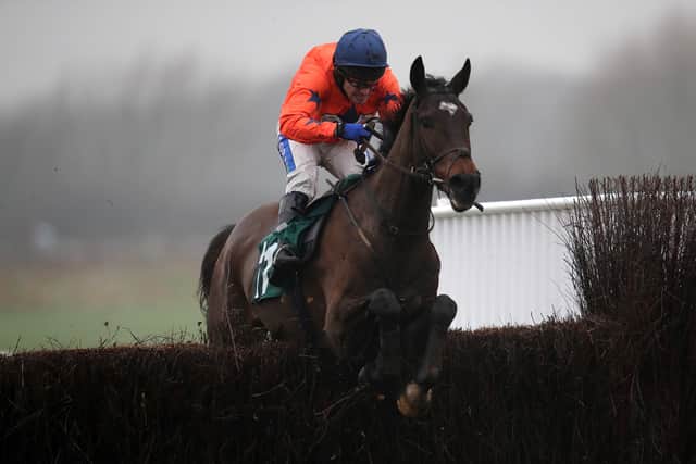 The going was good that day and the run has left the horse slightly feeling the effects, causing connections to opt to give him the rest of the season off before he is aimed at the 2024 Grand National.