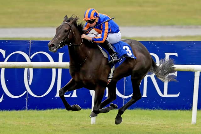 Breeders’ Cup Juvenile Turf winner Victoria Road also features in the top 10 with a mark of 115, while O’Brien feels there is more to come from 114-rated Juvenile Fillies’ Turf heroine Meditate.