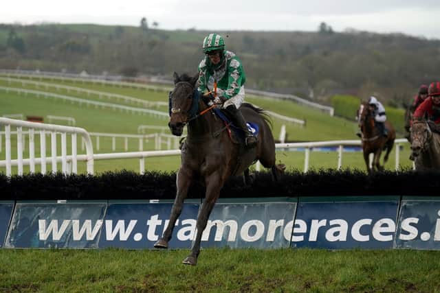 He said: “Patrick Mullins rode her in a Listed bumper and thought she was a lovely mare. She was placed then in a few bumpers but just wasn’t getting home.