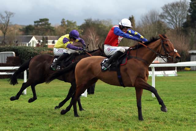 “He will be in the Supreme and the Ballymore at the Festival and we will speak to Paul about where he goes, but he looks pretty good and reminds me of Summerville Boy on whom I won the Supreme.