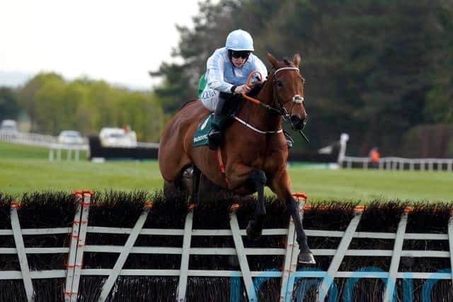 Honeysuckle is due to kick off her campaign in Sunday’s Hatton’s Grace Hurdle at Fairyhouse – a race she has won for the last three years before going on to Irish Champion Hurdle glory and then Cheltenham success.