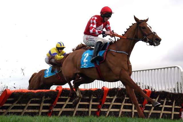 Having been placed in both the Triumph Hurdle and the Anniversary 4-Y-O Hurdle last term, he has won both starts this term.