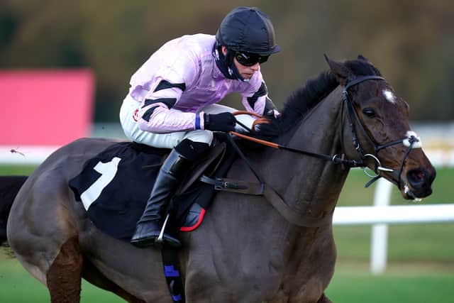 “But he is pretty versatile. You wouldn’t run on pretty quick ground and wouldn’t want a slog on very heavy ground, but I would have thought the ground won’t be either of those.”