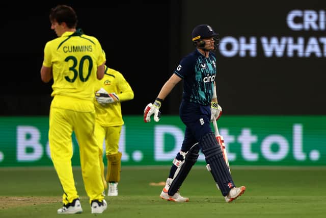 ODI cricket (Played 12, Won 5, Lost 6, No result 1)