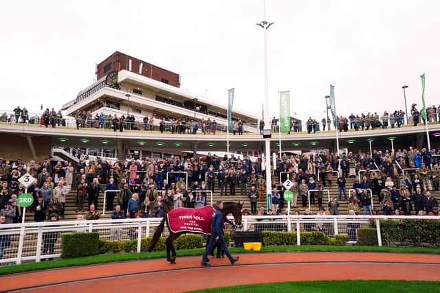 Bought by Michael O’Leary’s Gigginstown House Stud after winning on his hurdling debut for Nigel Hawke, Tiger Roll went on to become one of the most popular horses in training of the modern era.