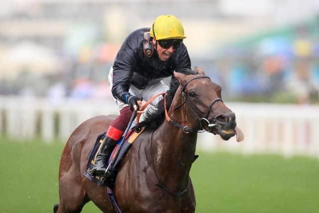 The son of Sea The Stars claimed Group One honours in that year’s Prince of Wales’s Stakes at Royal Ascot under Frankie Dettori. He also won the 2018 Hardwicke Stakes, as well as back-to-back renewals of both the Brigadier Gerard at Sandown and the Al Rayyan Stakes at Newbury.