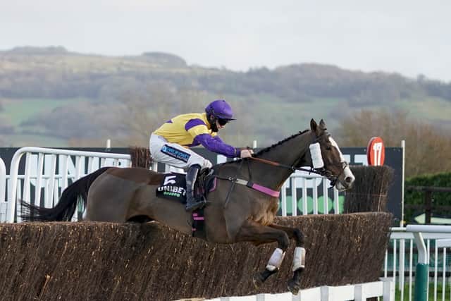 “He is very nice, but he’s also quite tricky to train and has had a few problems with his wind over the years. It was nice to get his head in front last time out and we can only wait and see what happens on Saturday.”