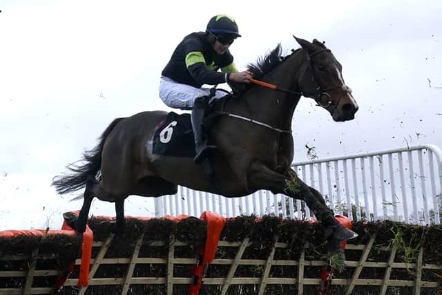 Envoi Allen was one of two notable winners for De Bromhead at Down Royal, with Magical Zoe finishing with a rattle to maintain her unbeaten record in the previous afternoon’s Irish Stallion Farms EBF Feathard Lady Mares Novice Hurdle.