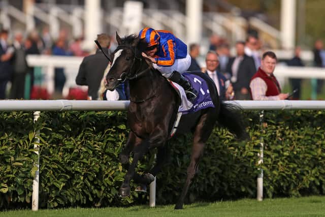 By then Royal Ascot winner Holloway Boy had gone clear and it looked sure to be a shootout across the width of the track, only for Karl Burke’s runner to veer markedly to his right and at one point the pair looked on course for a collision.