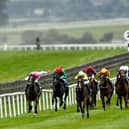 Horse Racing Ireland (HRI) today published the fixture list for 2023 which will see the overall number of fixtures retained at 390 and a major enhancement to the pre-Christmas National Hunt calendar.