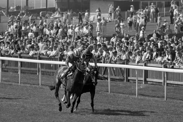 “I wasn’t a Pat Eddery, a superstar kid. I had to work my way up. Basically, I was the last lightweight to become a champion jockey.”