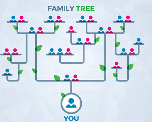 Does anyone have information which could lead to the discovery of three members of the same family?