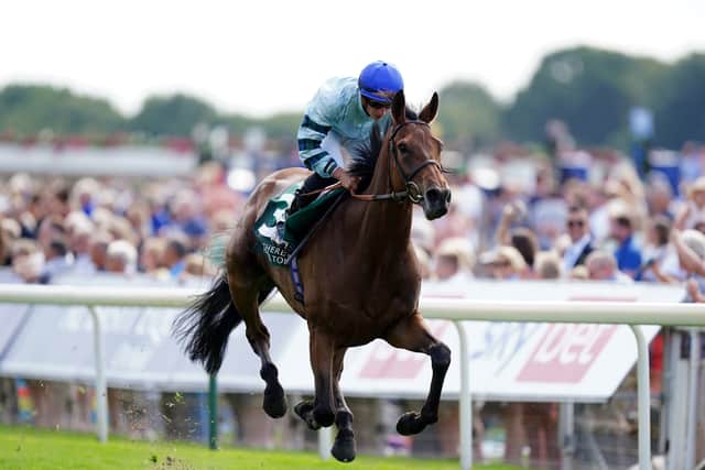 “Our only hope might be that this will be his sixth run. If there’s a chink in his armour that might be it, but from 14 furlongs to two and a half miles, he has been very impressive.”