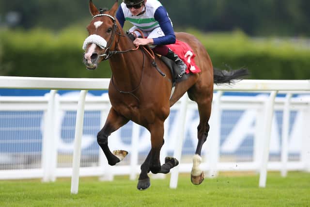 “I’m happy with the horse, anyway.”