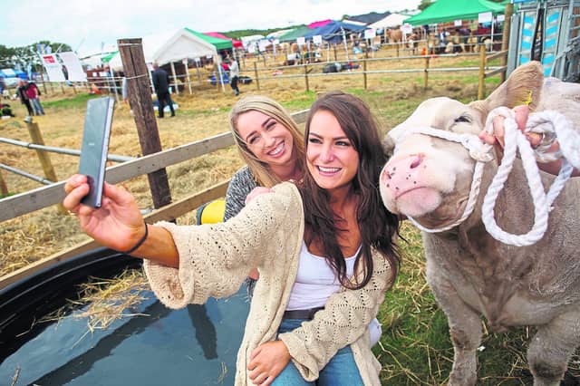A different kind of selfie at the Tullamore Show