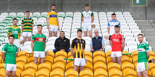 Offaly senior hurling club captains with sponsor Donal Molloy and County Board chairman Michael Duignan.