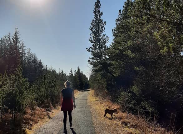 Walking in Lough Boora: being out in nature is associated with alleviation of low mood and anxiety. When we are outside we are giving our minds and our eyes a break from our ever-present screens.