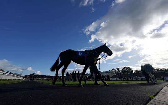 Racing Welfare’s Mental Health Awareness Week campaign got under way on Monday with the aim of supporting those working in the sport who are experiencing loneliness.