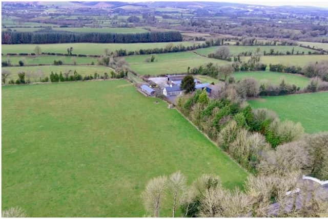 “The lands can lend itself to extensive grazing, silage cutting, tillage use or possible equestrian pursuits. The farm throughout has extensive mature hedging and trees which has been well maintained over the years,” Hennessy Auctioneers in Stradbally stated.