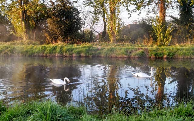 The Greenway will link the Grand and Royal canals