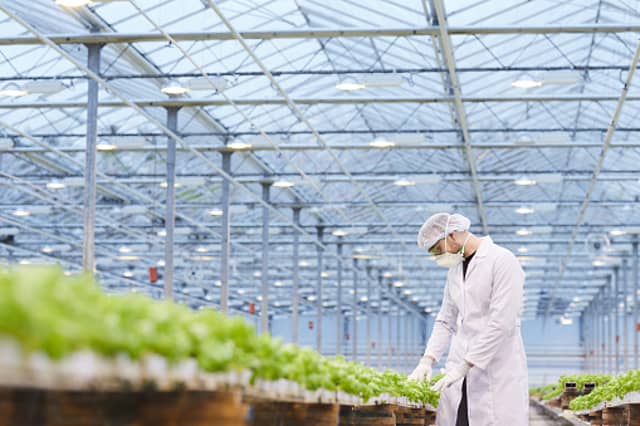 Water shortage for proposed large scale Offaly herb farm