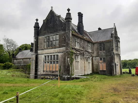 Durrow Abbey House, Tullamore, when it was being assessed by the OPW last week