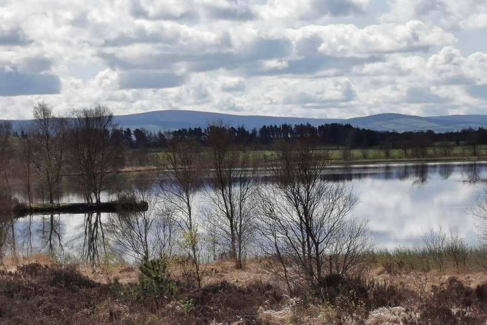 Pictured are some shots from around Lough Boora during a recent lovely sunny day. Pic: Ruth Gill, Kilcormac