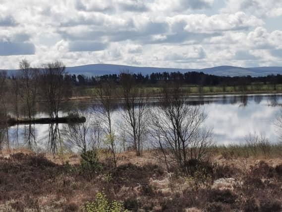 Pictured are some shots from around Lough Boora during a recent lovely sunny day. Pic: Ruth Gill, Kilcormac