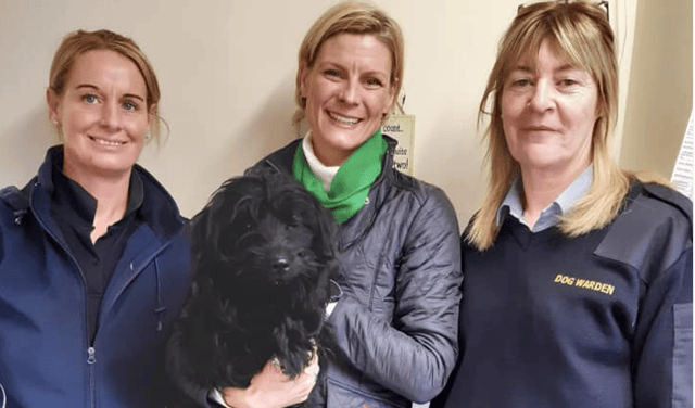 Pippa Hackett is pictured with Alma (kennel assistant) and Michelle (dog warden) at the Offaly Dog Pound.