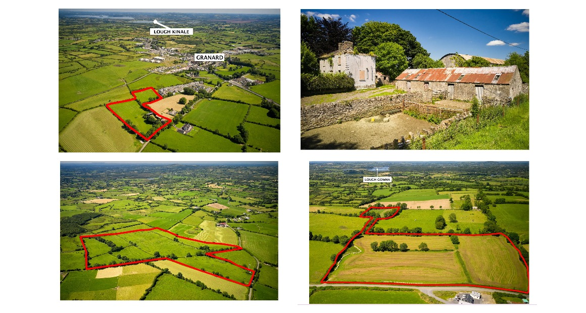 Midlands farm fetches over €1 million in online auction