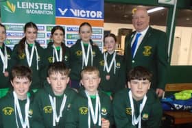 The Offaly squad with their medals