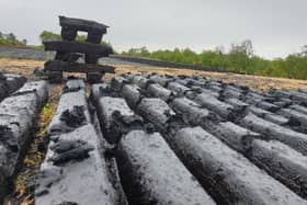 Deputy Tony McCormack has called for bodies to work together to attract multinational investment into former peatland areas across the Midlands.