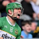 Brian Duignan celebrates after scoring an inspirational Offaly point.