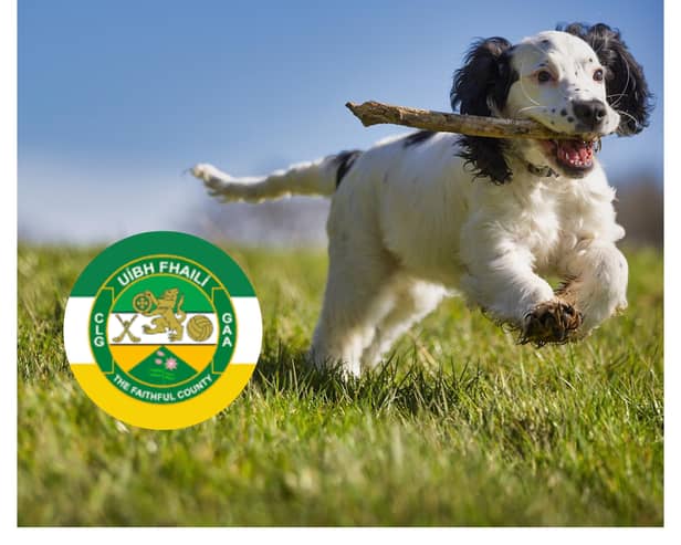 Offaly County Council’s Mark Finlay provided an update on animal control at the May meeting of the Birr Municipal District