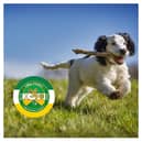 Offaly County Council’s Mark Finlay provided an update on animal control at the May meeting of the Birr Municipal District