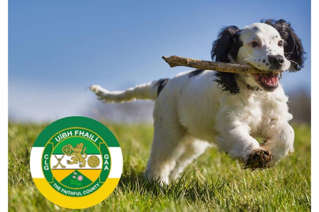 Offaly County Council’s Mark Finlay provided an update on animal control at the May meeting of the Birr Municipal District