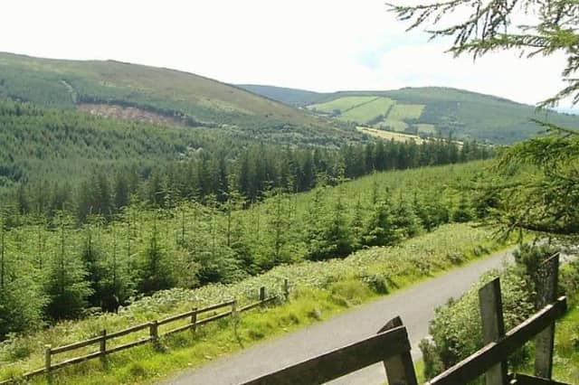 The Glendine valley in the Slieve Bloom mountains