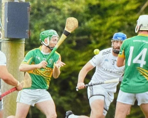 Lochlann Kavanagh scored 0-13 for Kilcormac/Killoughey in the Division 2 Hurling League Final.