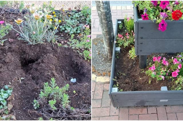 The containers which had flowers stolen from them.