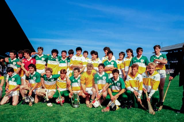 The 1986 Offaly minor hurling squad