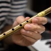 Free Music Lessons for Adults in Roscrea