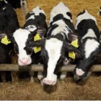 Payments totalling €14.56 million to over 2,500 Offaly farmers begin