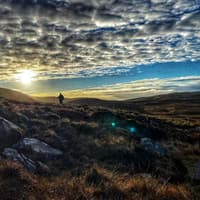 Celebrate the gift of life advises Offaly columnist