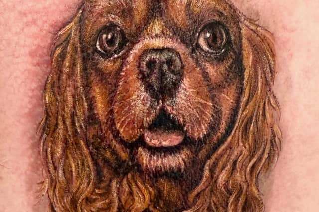 Dog portrait by Milly