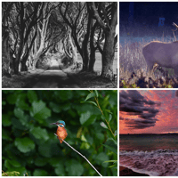 PICTURES: Tullamore Camera Club members showcase their latest eye-catching photos