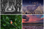 A selection of photos by the members