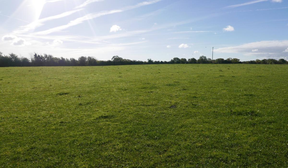 Agricultural land for sale in four lots in Cloneygowan Offaly Live