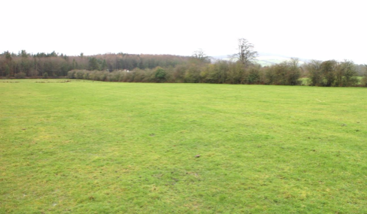 PROPERTY IN FOCUS Prime Offaly land for sale beside Kinnitty Castle